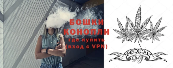 метадон Богданович