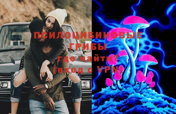 метадон Богданович