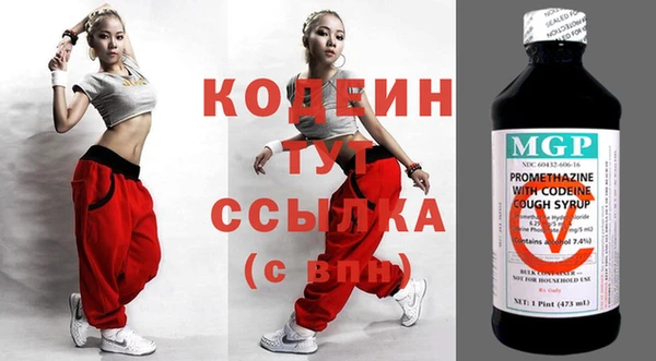 метадон Богданович
