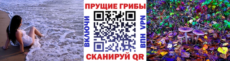 Псилоцибиновые грибы GOLDEN TEACHER  где купить наркотик  Нелидово 